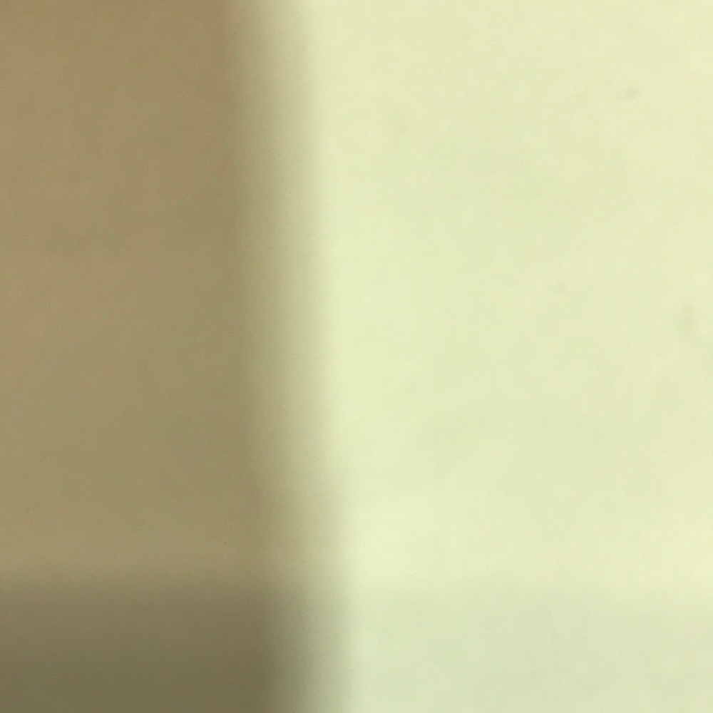 Meet your Posher, Joey